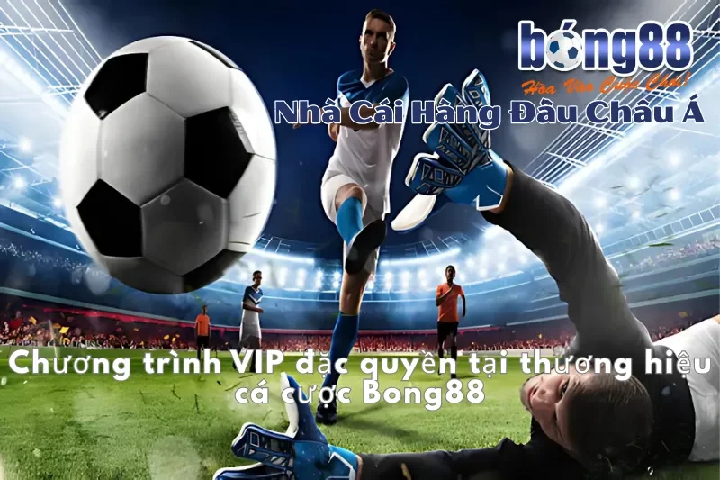 Khuyến Mãi Bong88 2026: Thưởng Nạp Đầu 100%, Hoàn Cược 1.2% Mỗi Ngày 4 Chương trình VIP đặc quyền tại Bong88