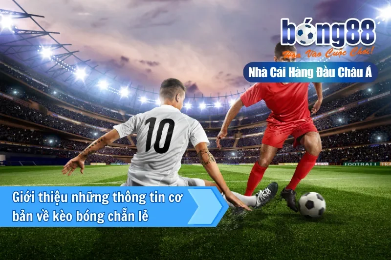Kèo Chẵn Lẻ Là Gì? Thống Kê Phân Bố & Cách Chơi Đúng Vai Trò 2 Giới thiệu kèo chẵn lẻ Odd Even tại Bong88