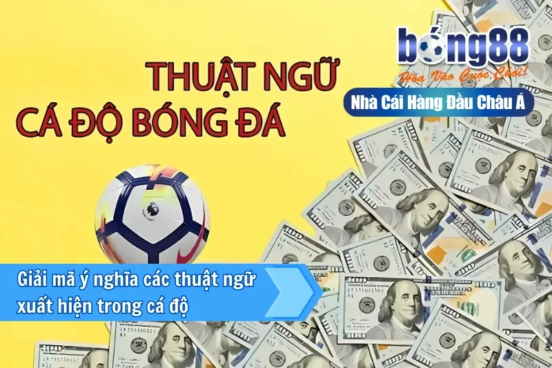 Kèo Chấp Là Gì? Giải Nghĩa Từng Mức Từ 0 Đến 2 Trái & Cách Chọn Cửa 3 Bảng các mức kèo chấp và cách tính tiền chi tiết