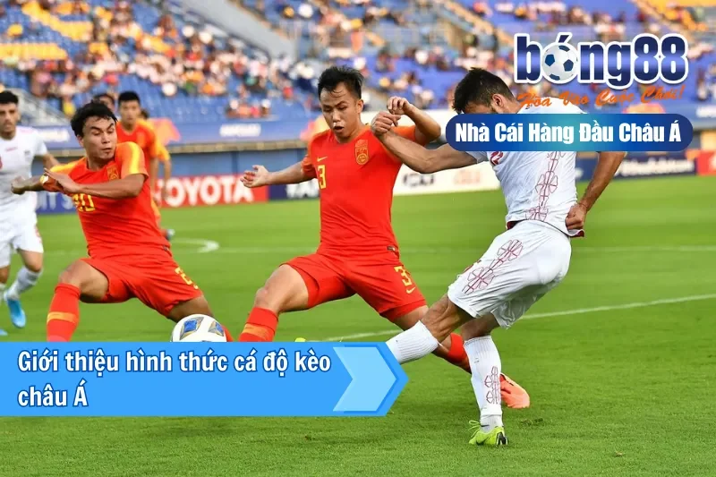 Kèo Châu Á Là Gì? Cách Đọc, Bảng Tính Tiền & Kinh Nghiệm 2026 2 Giới thiệu hình thức cá độ kèo châu Á tại Bong88
