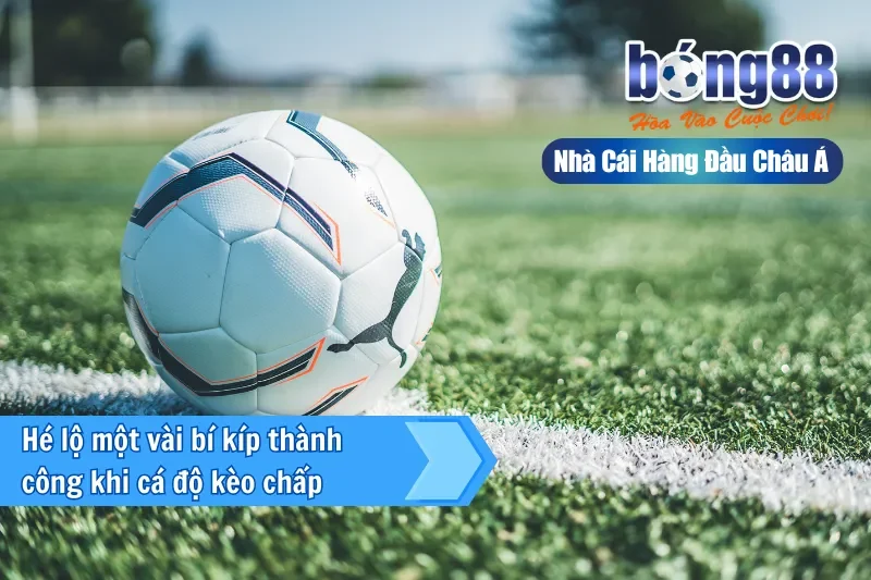 Kèo Châu Á Là Gì? Cách Đọc, Bảng Tính Tiền & Kinh Nghiệm 2026 4 Kinh nghiệm chơi kèo châu Á hiệu quả cho người mới