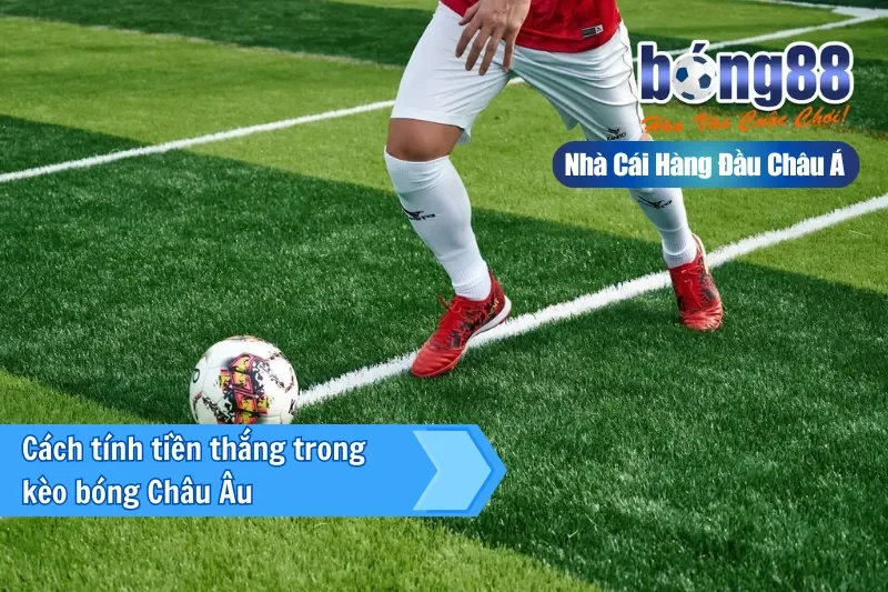 So sánh kèo châu Âu và kèo châu Á tại Bong88