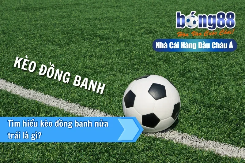 Kèo Đồng Banh Nửa Trái (0.25) Là Gì? Cơ Chế Chia Đôi & Bảng Kịch Bản 2 Giới thiệu kèo đồng banh nửa trái 0.25