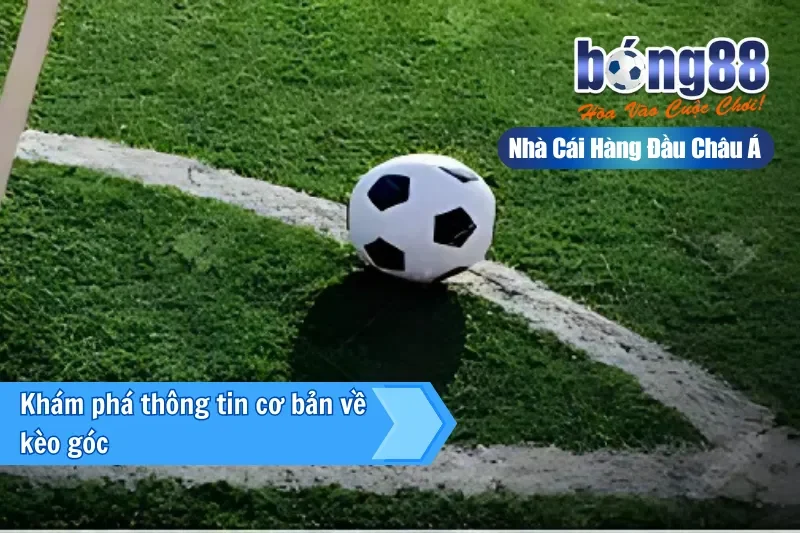 Kèo Góc (Phạt Góc) Là Gì? Cách Chơi, Dữ Liệu Phân Tích & Chiến Thuật Live 2 Khám phá thông tin cơ bản về kèo góc tại Bong88