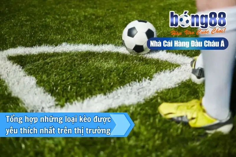 Kèo Góc (Phạt Góc) Là Gì? Cách Chơi, Dữ Liệu Phân Tích & Chiến Thuật Live 3 Các yếu tố ảnh hưởng đến số quả phạt góc trong trận