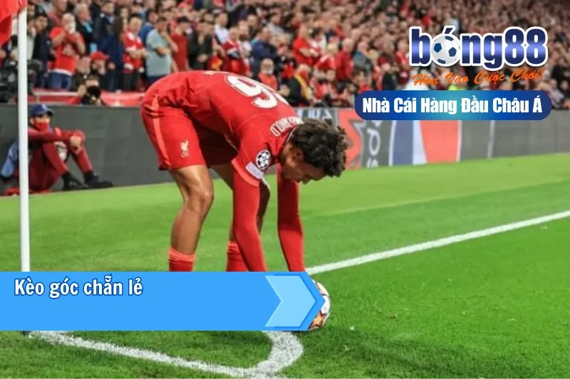 Kèo Góc (Phạt Góc) Là Gì? Cách Chơi, Dữ Liệu Phân Tích & Chiến Thuật Live 4 Chiến thuật cược kèo góc live hiệu quả