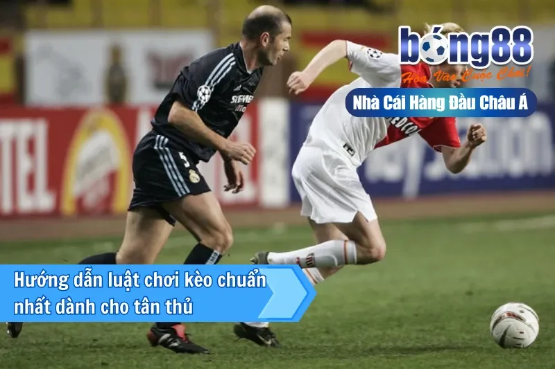 Đặc điểm các đội bóng chuyên lội ngược dòng