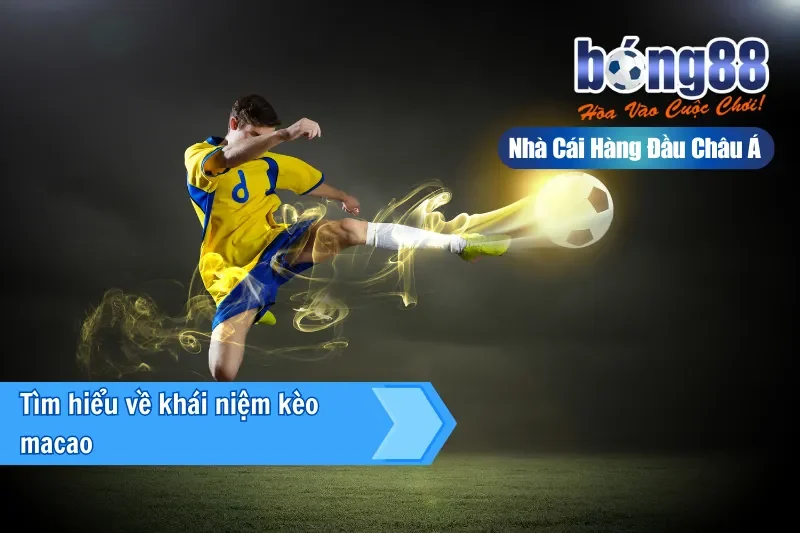 Kèo Macao (Hong Kong) Là Gì? Một Công Thức Đọc Mọi Bảng Kèo 2 Giới thiệu kiểu tỷ lệ kèo Macao Hong Kong tại Bong88