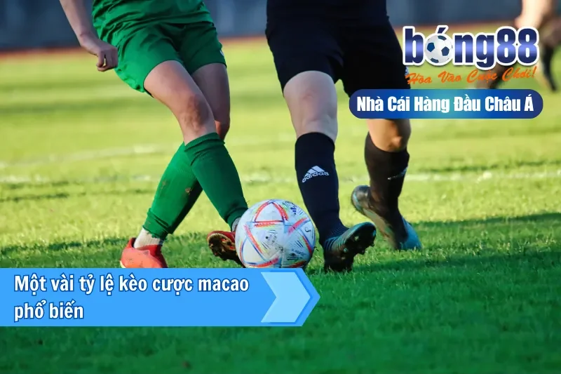 Kèo Macao (Hong Kong) Là Gì? Một Công Thức Đọc Mọi Bảng Kèo 3 Bảng quy đổi tỷ lệ Macao Decimal Malaysia