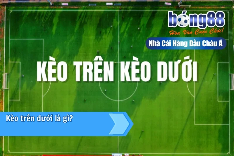 Kèo Trên Kèo Dưới Là Gì? Hiểu Đúng Vị Thế & Khai Thác Giá Trị Cửa Dưới 2 Giải thích khái niệm kèo trên kèo dưới tại Bong88