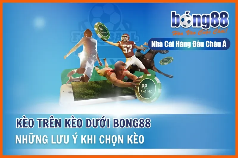 Kèo Trên Kèo Dưới Là Gì? Hiểu Đúng Vị Thế & Khai Thác Giá Trị Cửa Dưới 1 Kèo Trên Kèo Dưới Là Gì? Hiểu Đúng Vị Thế & Khai Thác Giá Trị Cửa Dưới