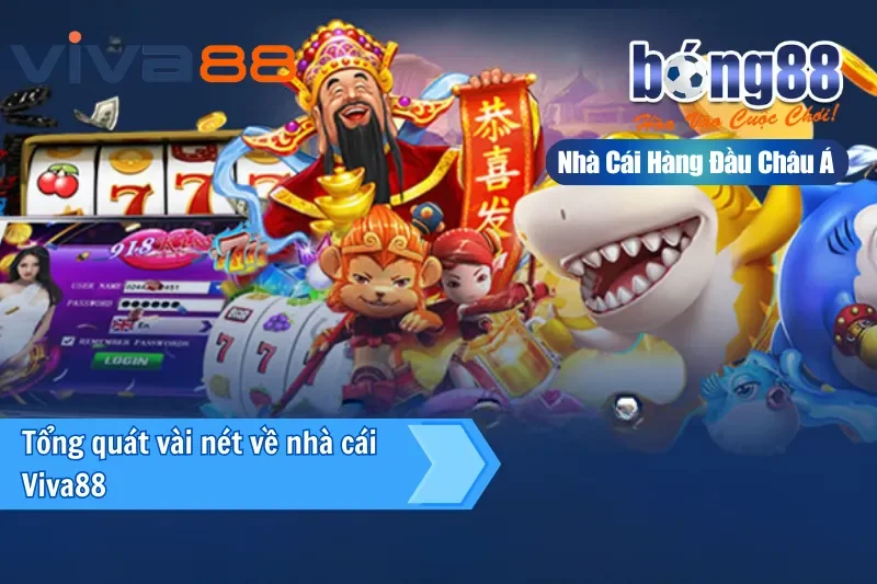 Đại Lý Viva88 1 Đôi nét về đại lý Viva88 - kênh lâu năm nhất của Bong88