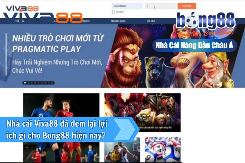 Đại Lý Viva88 2 Quyền lợi khi mở tài khoản Bong88 qua đại lý Viva88